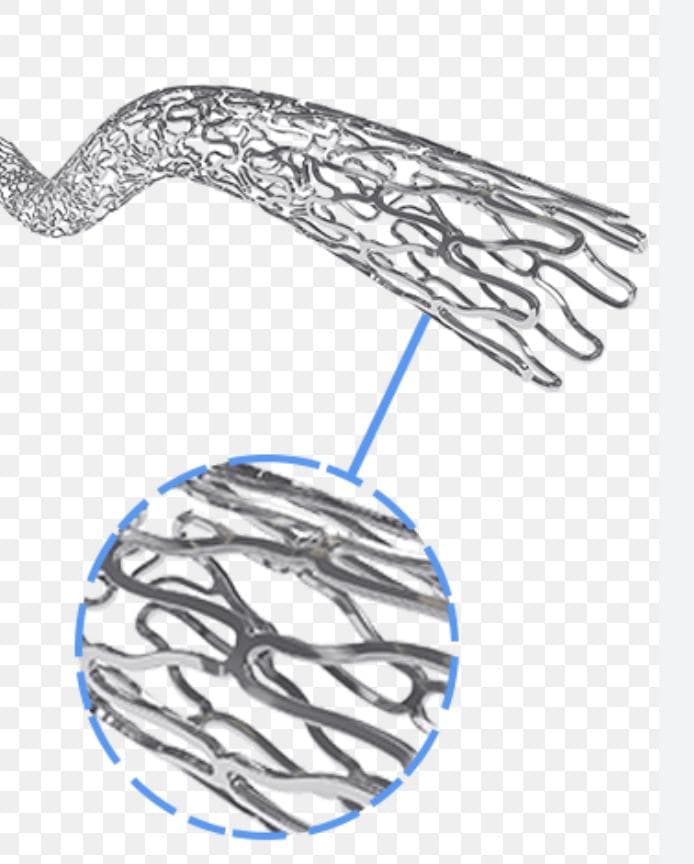 Sirolimus Eluting Coronary Stent